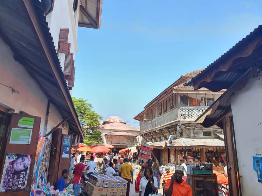 Zanzibar: Private walking tour in stone town - Meeting at the Old Fort