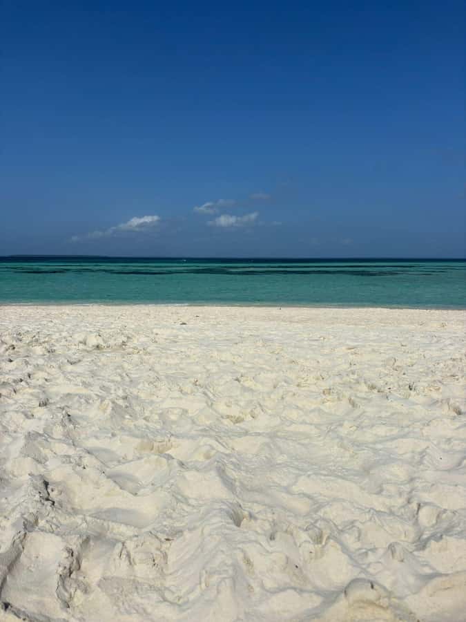 Zanzibar: Pungume island-dolphin watching - BBQ Lunch - Taking the fiber boat toward the dolphins