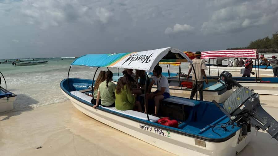 Zanzibar: Pungume island-dolphin watching - BBQ Lunch - Guides who shape the day