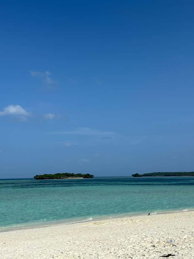 Zanzibar: Pungume island-dolphin watching - BBQ Lunch - Starting from Jambiani, Paje, Dongwe, or Bwejuu
