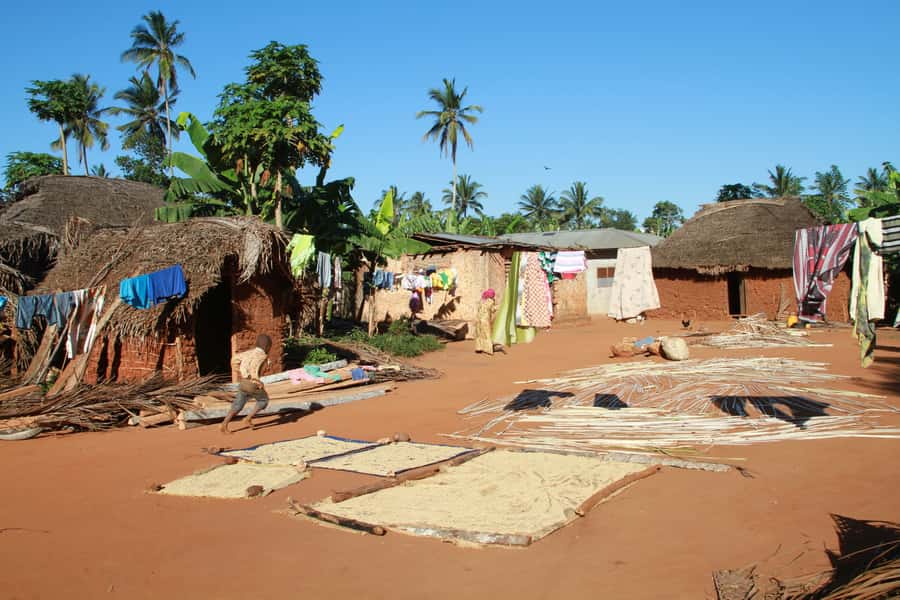 Zanzibar: Quad Bike Adventure Tour to a Local Village - The strongest parts, and the limits