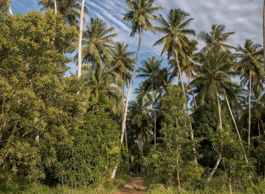 Zanzibar: Quad Off-Road Adventure | Kiwengwa - Practical details that make the day easier
