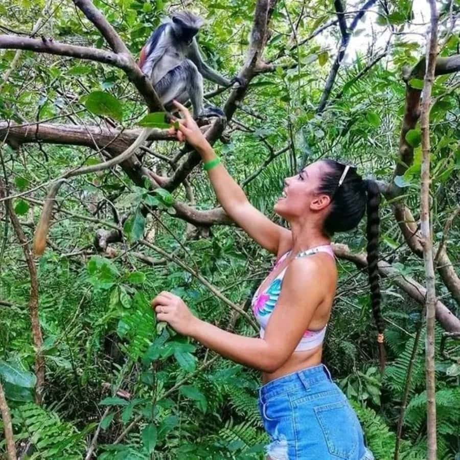 Zanzibar: Red Colobus Monkeys in Jozani Forest Guided Tour - The monkey viewing area: what you may actually see