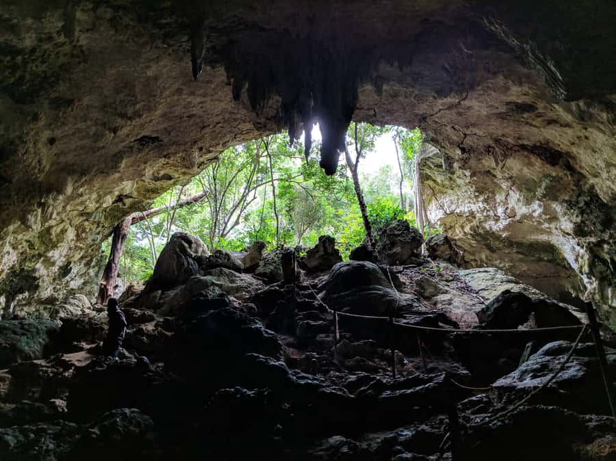 Zanzibar: Rock Restaurant and Cave Tour Visit - Transport, timing, and the guide