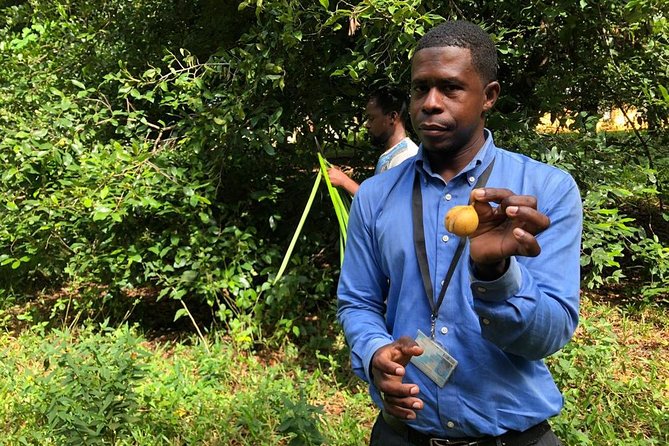 Zanzibar's Finest: Private Tour of Top 5 Attractions with Lunch - Tangawizi Spice Farm and the working side of Zanzibar