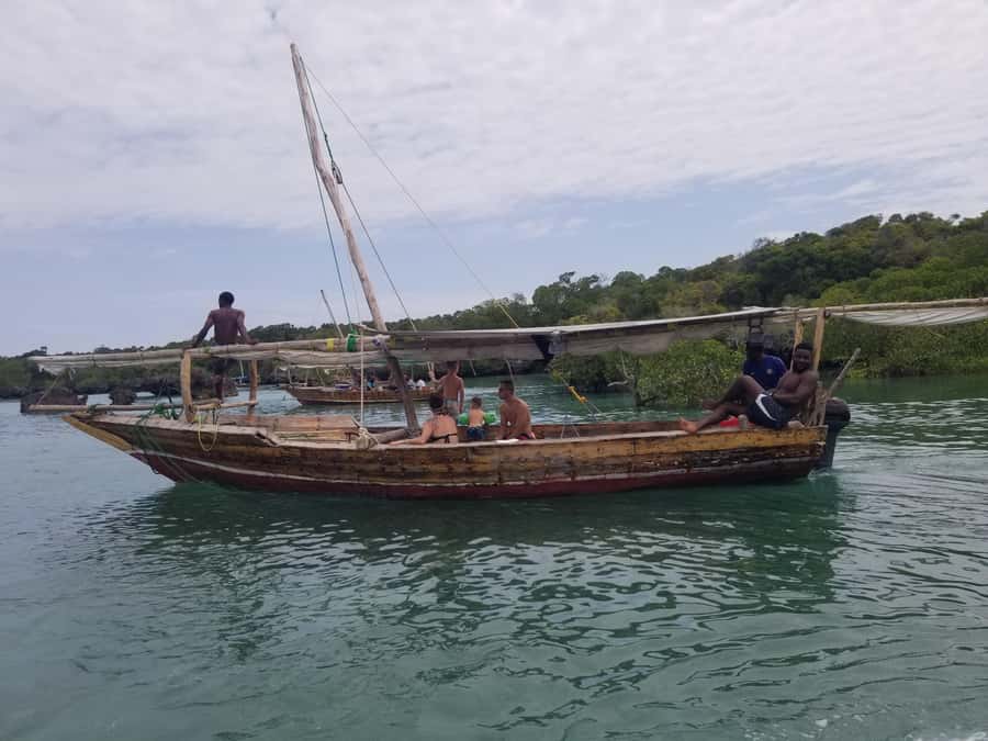 Zanzibar: Safari Blue Day Tour Snorkeling With BBQ Lunch - The sandbank stop: beautiful, but not for everyone