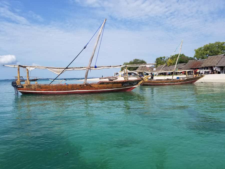 Zanzibar: Safari Blue Day Tour Snorkeling With BBQ Lunch - Menai Bay snorkeling and reef conditions