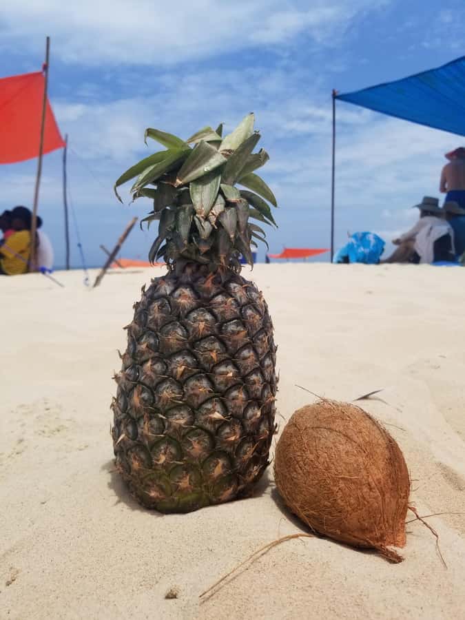 Zanzibar: Safari Blue Day Tour Snorkeling With BBQ Lunch - What to bring for a smoother day