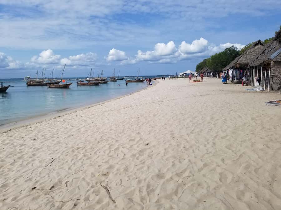 Zanzibar: Safari Blue Day Tour Snorkeling With BBQ Lunch - Who will enjoy this day most