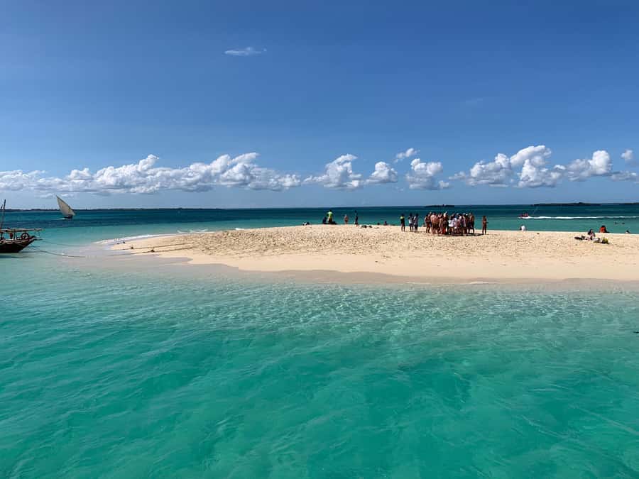 Zanzibar: Safari Blue Full-Day Exploration - Key points to know before booking
