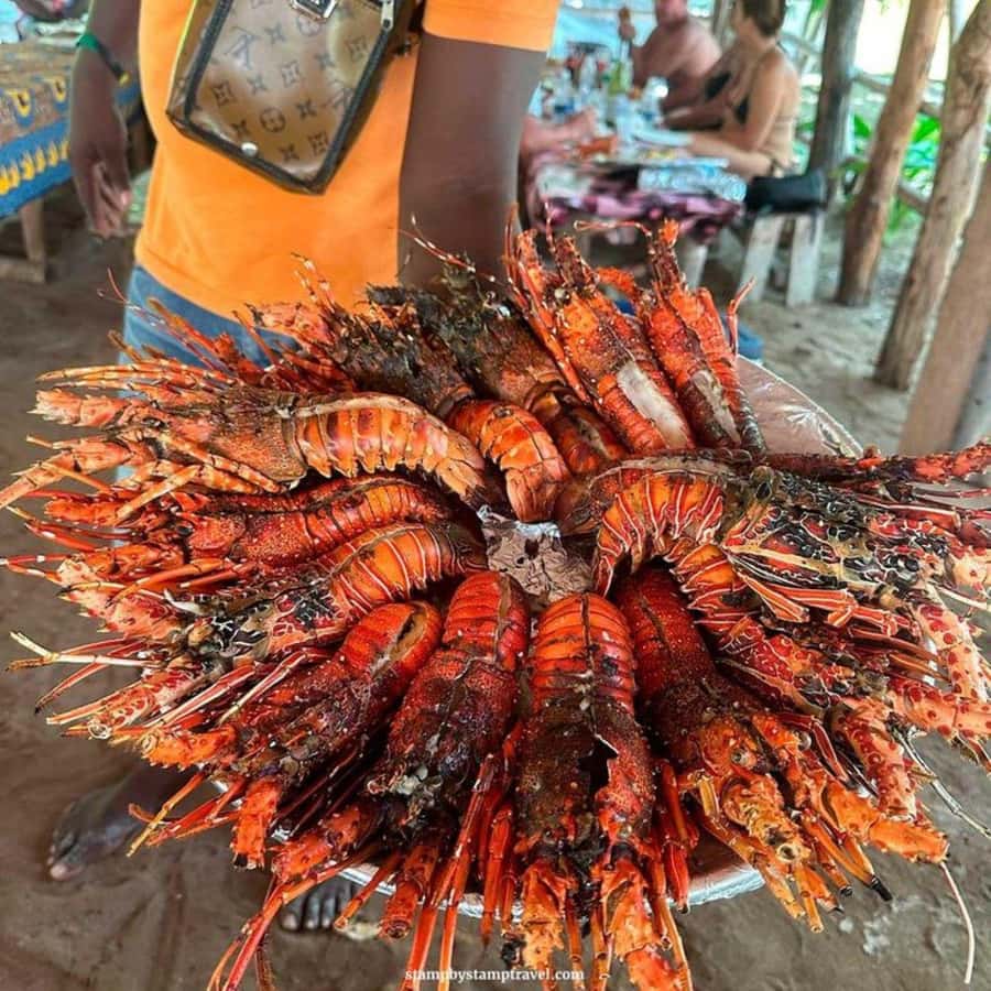 Zanzibar: Safari Blue Full-Day Exploration - What this Safari Blue day is really about