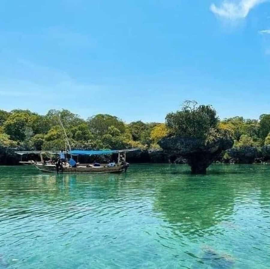 Zanzibar: Safari Blue Full-Day Exploration - Kwale Island and the old baobab tree