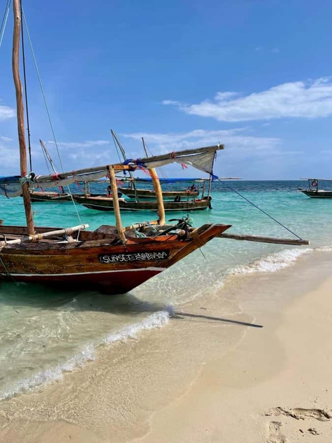 Zanzibar: Safari Blue Full-Day Exploration - A local lunch with seafood and coconut curry