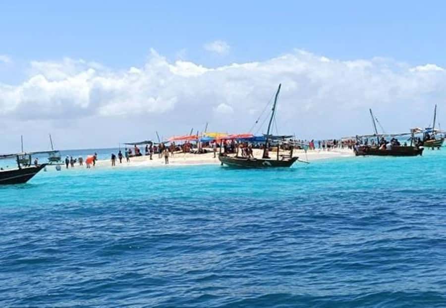 Zanzibar: Safari Blue Full-Day Exploration - Is $85 good value?