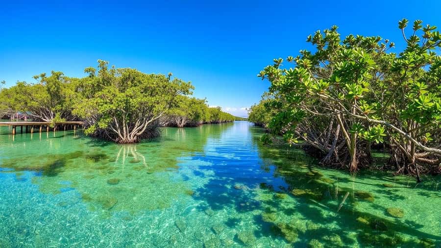 Zanzibar: Safari Blue Full-Day Tour with Lunch and transfer - What the $90 Safari Blue day really includes