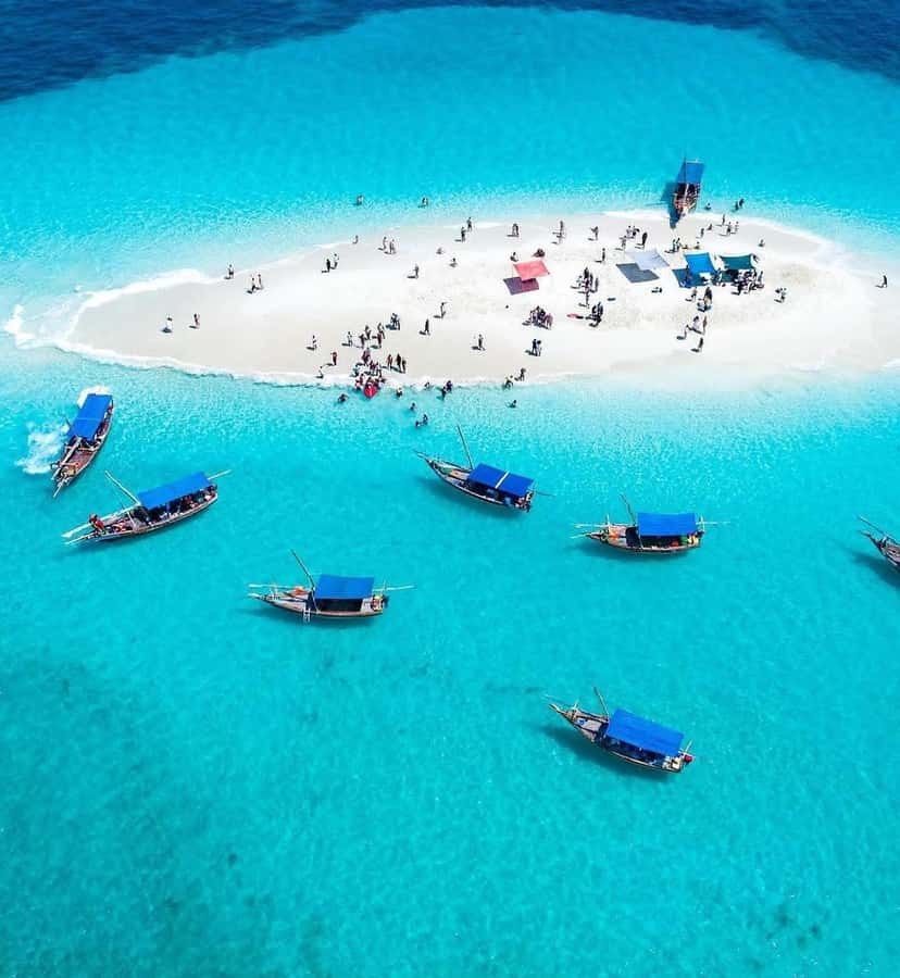 Zanzibar: Safari Blue Lagoon Trip with Snorkeling and Lunch - What the Safari Blue trip actually offers