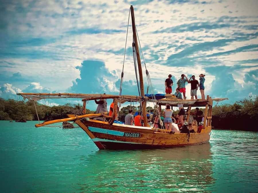 Zanzibar: Safari blue tour - Five things to know before you book