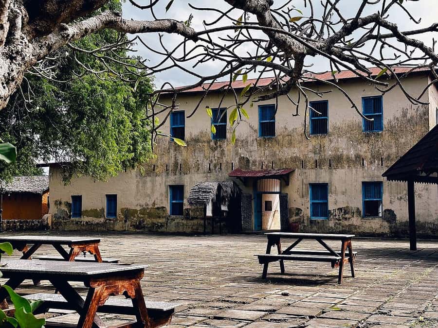 ZANZIBAR: Salaam Cave, Prison Island & Jozani Forest Tour - Is $175 per person good value?