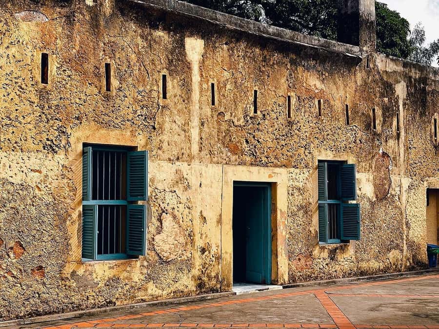 ZANZIBAR: Salaam Cave, Prison Island & Jozani Forest Tour - Who will enjoy this Zanzibar tour most?