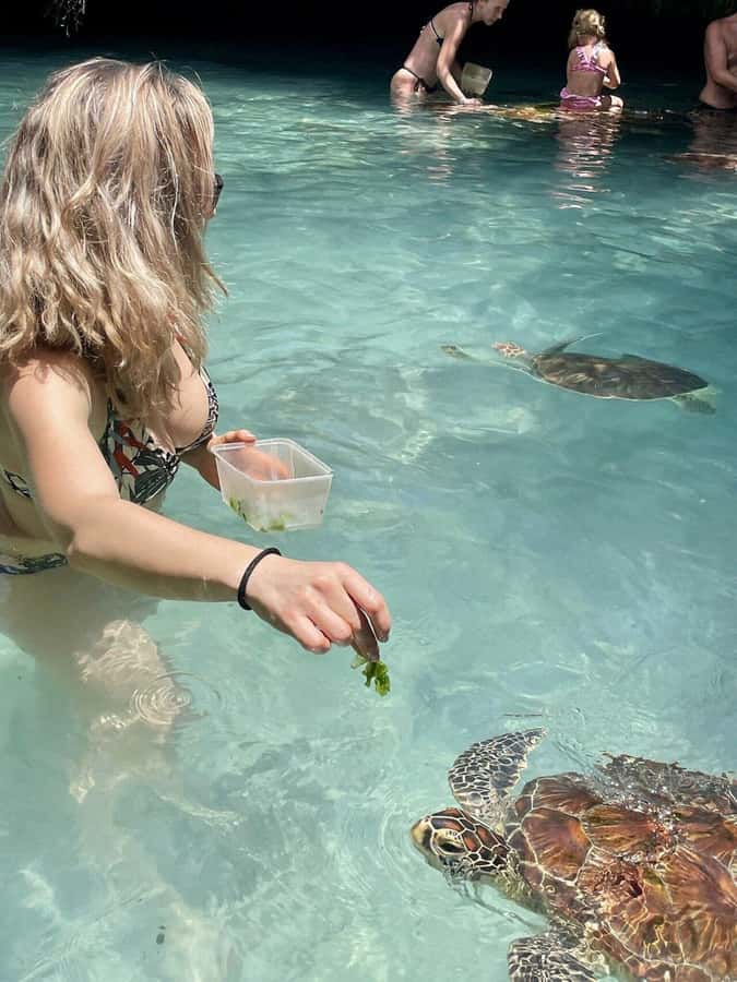 ZANZIBAR: Salaam Cave Swimming with Sea Turtles at Kizimkazi - Photos, shade, and the pace of the visit