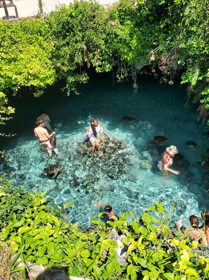 ZANZIBAR: Salaam Cave Swimming with Sea Turtles at Kizimkazi - The drive to Kizimkazi takes patience