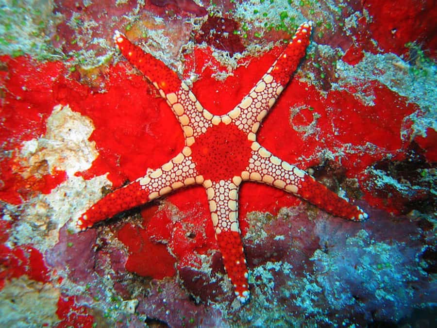 Zanzibar, Salaam Cave Tour, The Rock, Kuza Cave, Paje Beach - Who should book this Zanzibar tour?
