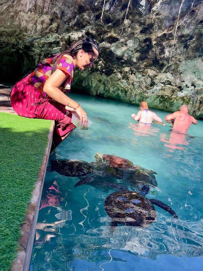 Zanzibar: Sea Turtle Swim at Kizimkazi Salaam Cave Tour - Booking, cancellation, and language