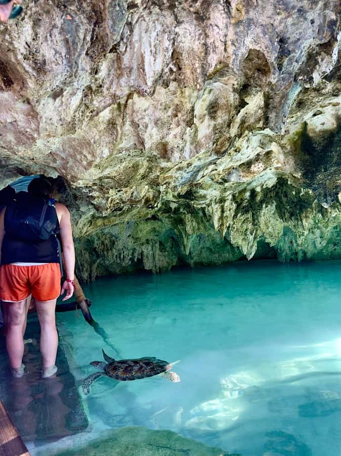 Zanzibar: Sea Turtle Swim at Kizimkazi Salaam Cave Tour - Narrow steps and cave access