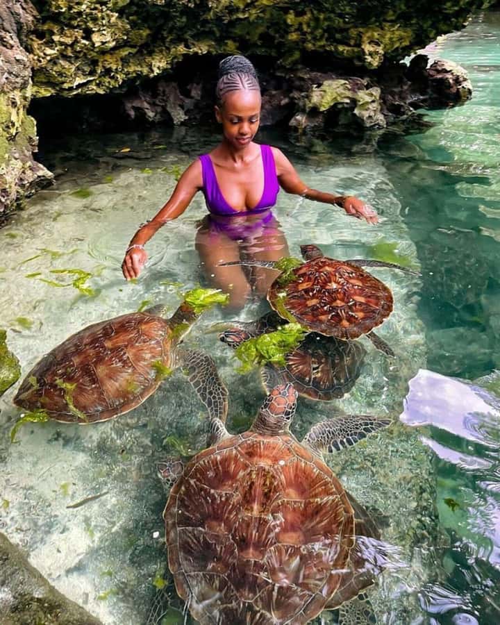 ZANZIBAR: Sea Turtle Swimming & Feeding Experience in NUNGWI - Arriving at Nungwi’s Turtle Lagoon