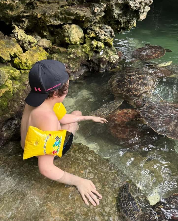 ZANZIBAR: Sea Turtle Swimming & Feeding Experience in NUNGWI - What Your Local Guide Adds
