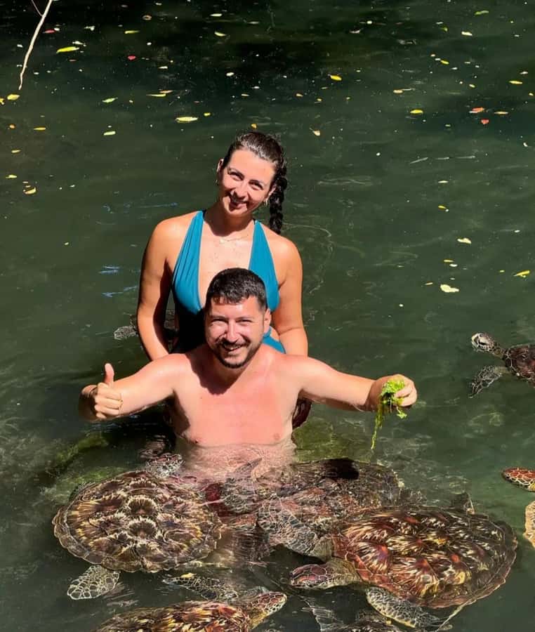 ZANZIBAR: Sea Turtle Swimming & Feeding Experience in NUNGWI - Why the Early Morning Timing Matters