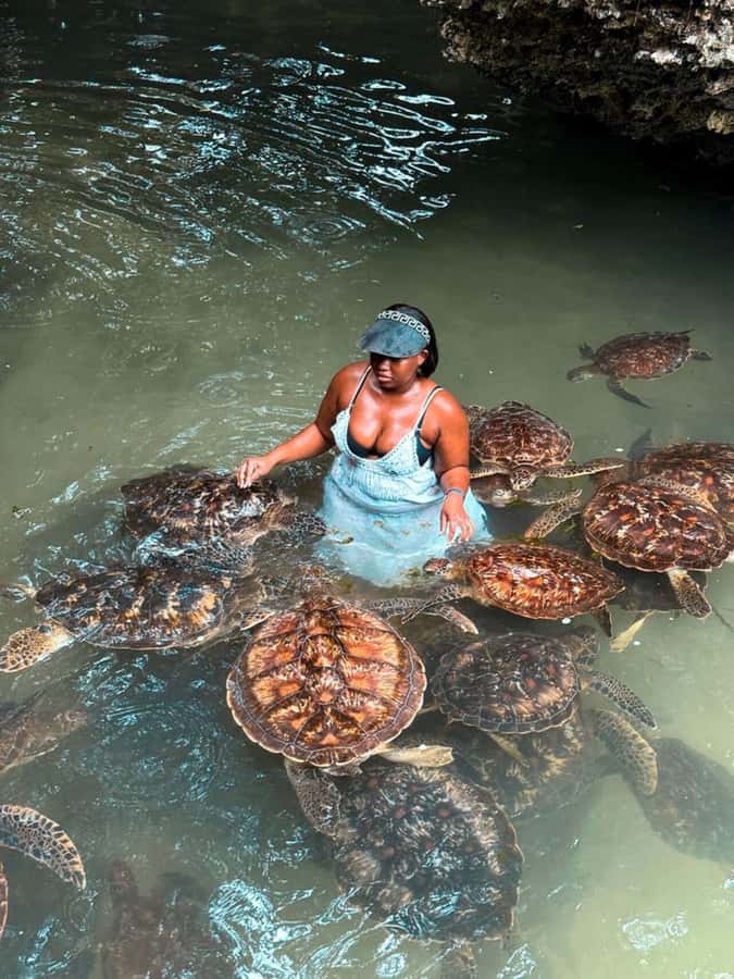 ZANZIBAR: Sea Turtle Swimming & Feeding Experience in NUNGWI - What the $65 Price Includes