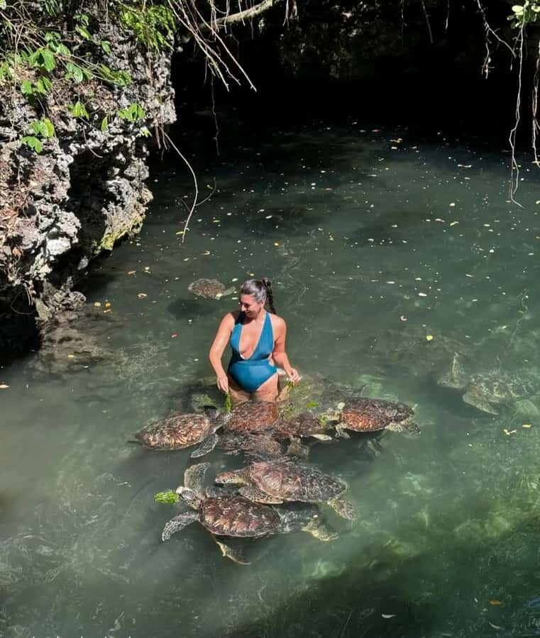 ZANZIBAR: Sea Turtle Swimming & Feeding Experience in NUNGWI - Who Will Enjoy This Most