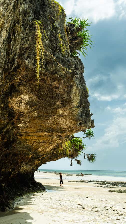 Zanzibar : Secret Beach, Kuza Cave and Jozani with transfer - Three Zanzibar sights in six hours