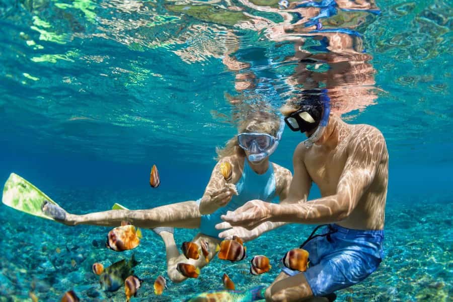 Zanzibar: Snorkeling at blue lagoon & Star fish tour - A short photo stop at The Rock Restaurant