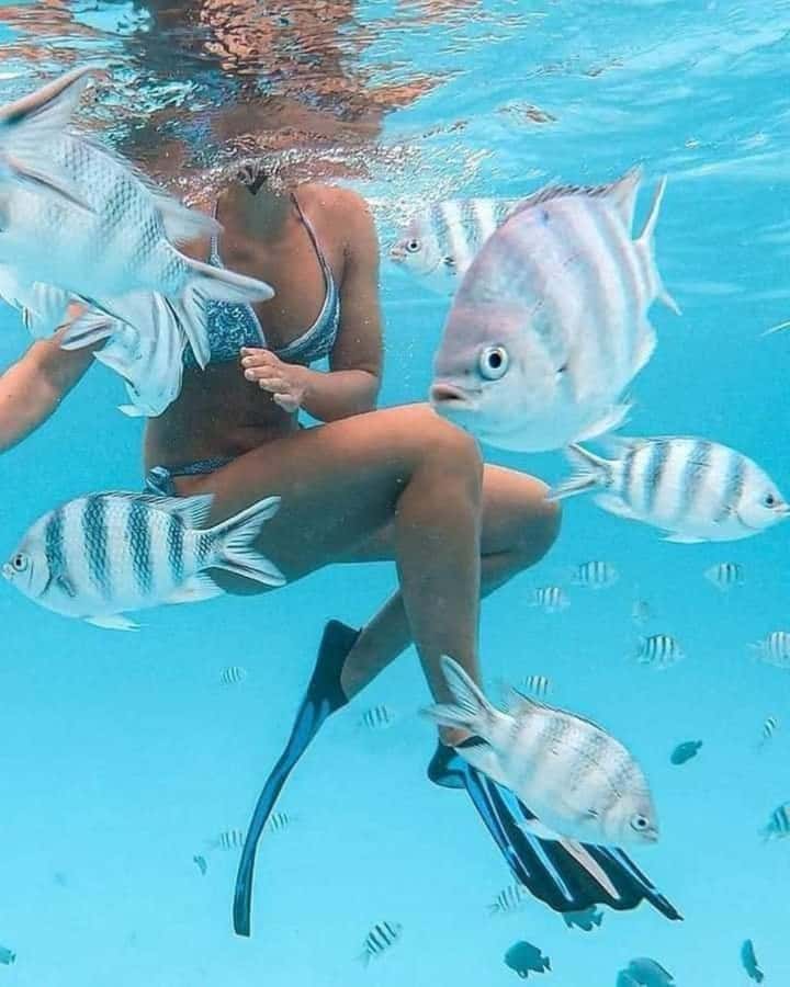 Zanzibar: Snorkeling at blue lagoon & Star fish tour - Who should book this water trip?