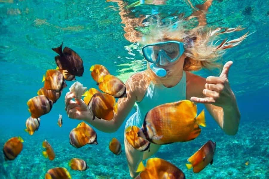 Zanzibar: Snorkeling at blue lagoon & Star fish tour - Pickup, timing, and the trip to Pingwe