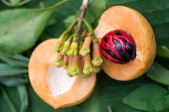 Zanzibar Spice Farm Half-Day Walking Tour - The community spice shop and what to buy