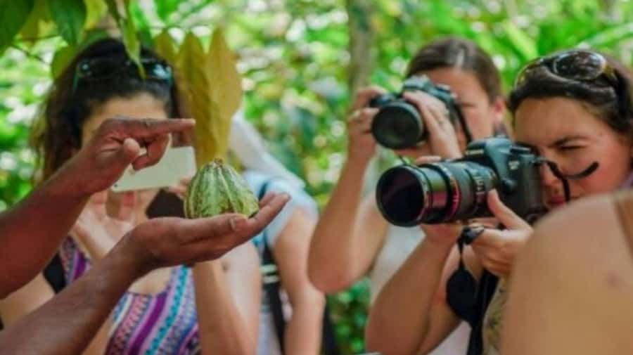 Zanzibar: Spice Farm, Jozani Forest & Sea Turtle Sanctuary - What the driving time means for your day