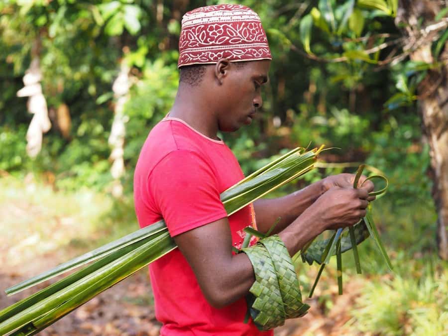 Zanzibar: Spice Farm, Stone Town & Prison Island with Lunch - The dhow ride to Prison Island