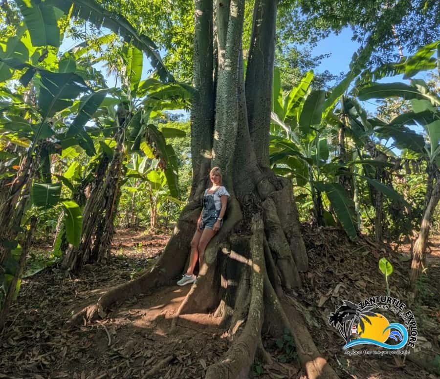 Zanzibar: Spice Farm Tour and Cooking Class with Lunch - Simple ways to make the day better