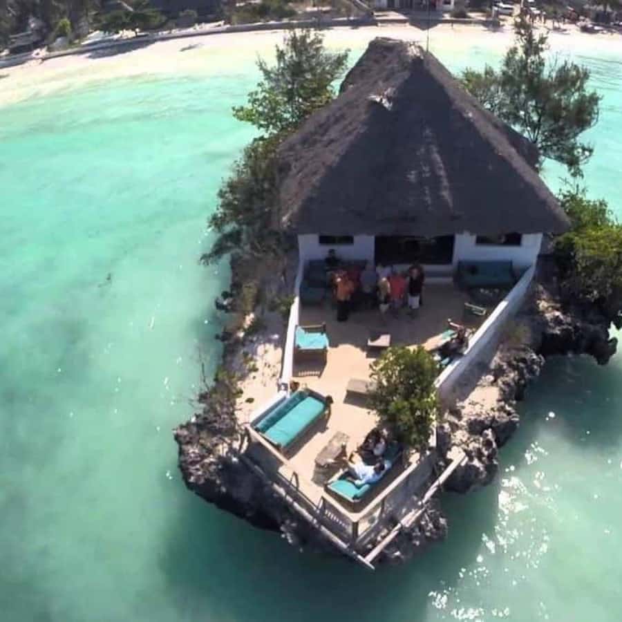 ZANZIBAR: Spice Farm Tour, Jozani Forest & Rock Restaurant - Why this Zanzibar day trip works