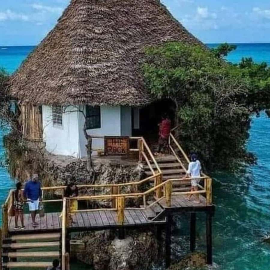 ZANZIBAR: Spice Farm Tour, Jozani Forest & Rock Restaurant - Timing, comfort, and what to bring