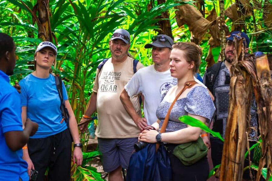 Zanzibar: Spice Farm Tour with Lunch & Tropical Fruits - Why Zanzibar earned its spice island name