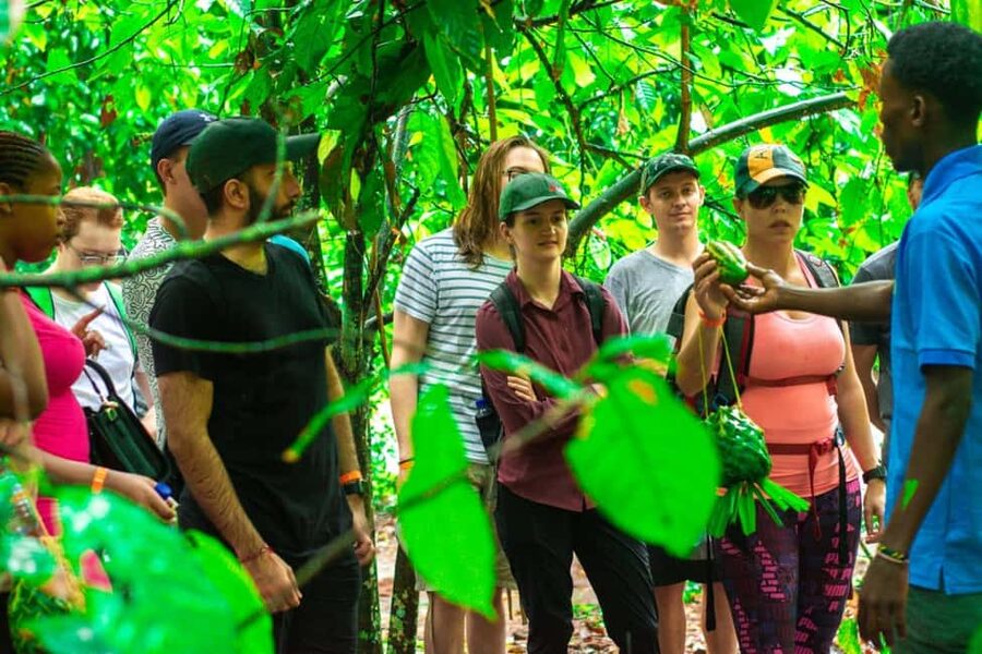 Zanzibar: Spice Farm Tour with Lunch & Tropical Fruits - The 2.5-hour walk through Jambo Spice Farm