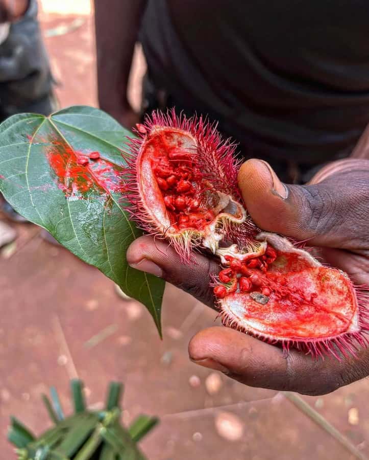 Zanzibar Spice Tour &Cooking Class with Lunch Pickup Include - Key points to know before booking