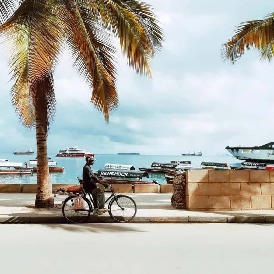 Zanzibar: Spice tour + Stone Town Walking tour - Practical points before you book