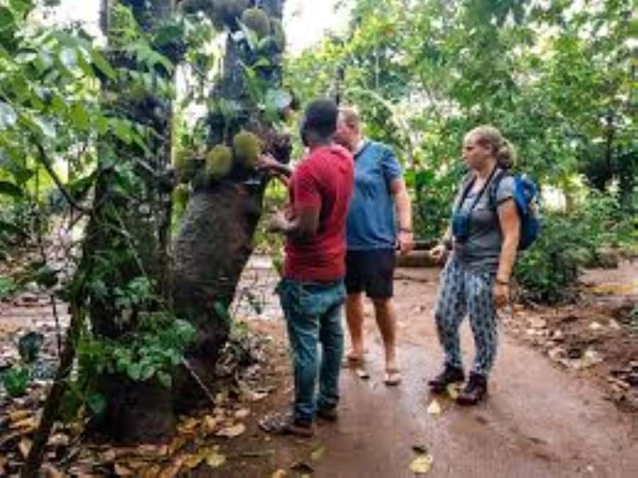Zanzibar: Spice tour + Stone Town Walking tour - Freddie Mercury’s house and Stone Town’s many influences