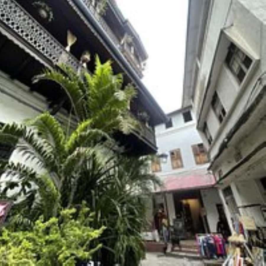 Zanzibar: Spice tour + Stone Town Walking tour - What the private format adds