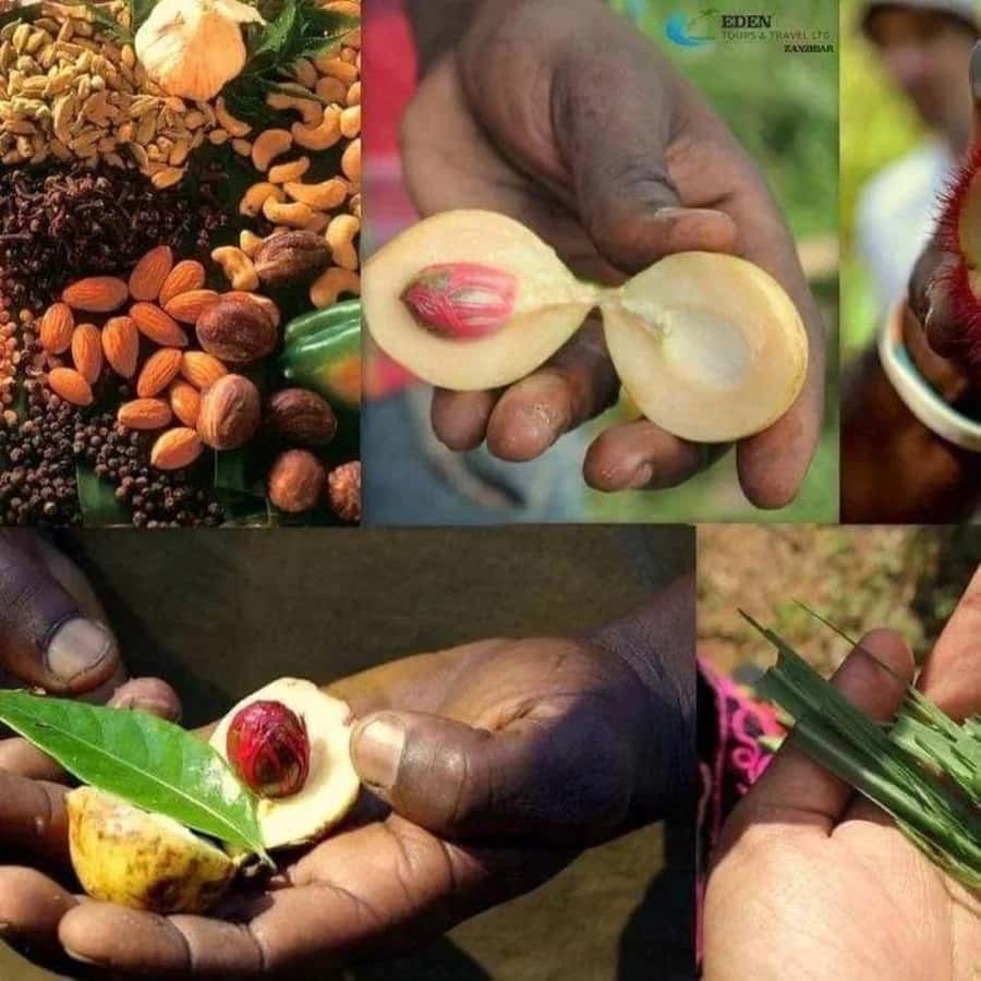 Zanzibar: Spice tour + Stone Town Walking tour - Following the scent of Zanzibar’s spice farms